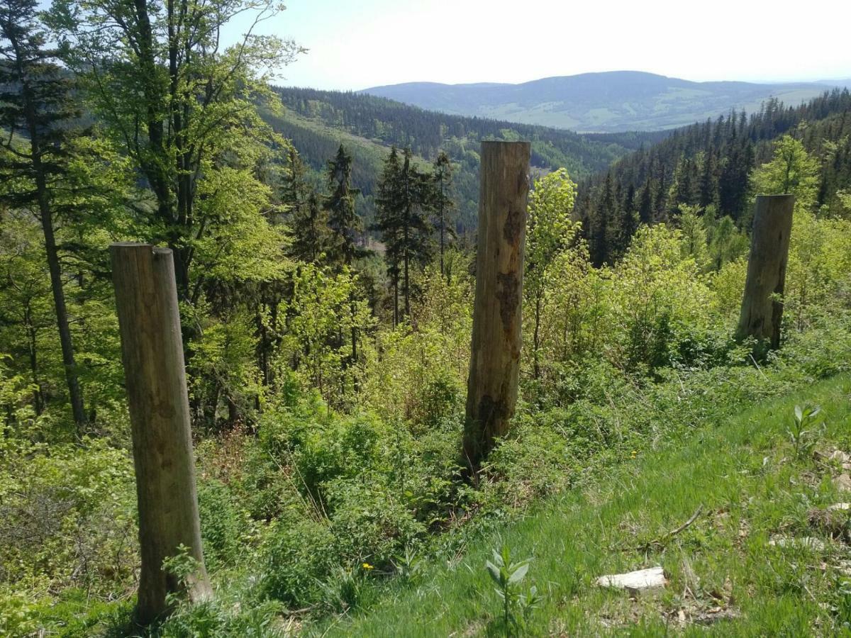 Apartmány Sport Dolní Morava Exteriér fotografie
